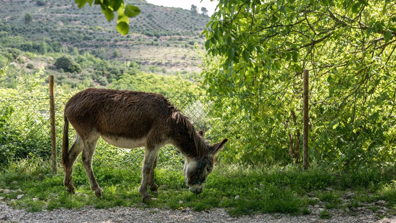 Casa Rural La Chocolateria Horche Exteriér fotografie